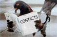 Contact Digital Arts +